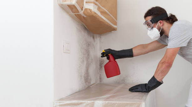 Professional Black Mold Remediation technician working in Hacksneck, VA