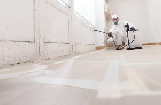 24/7 Emergency Black Mold Remediation experts in Hacksneck, VA